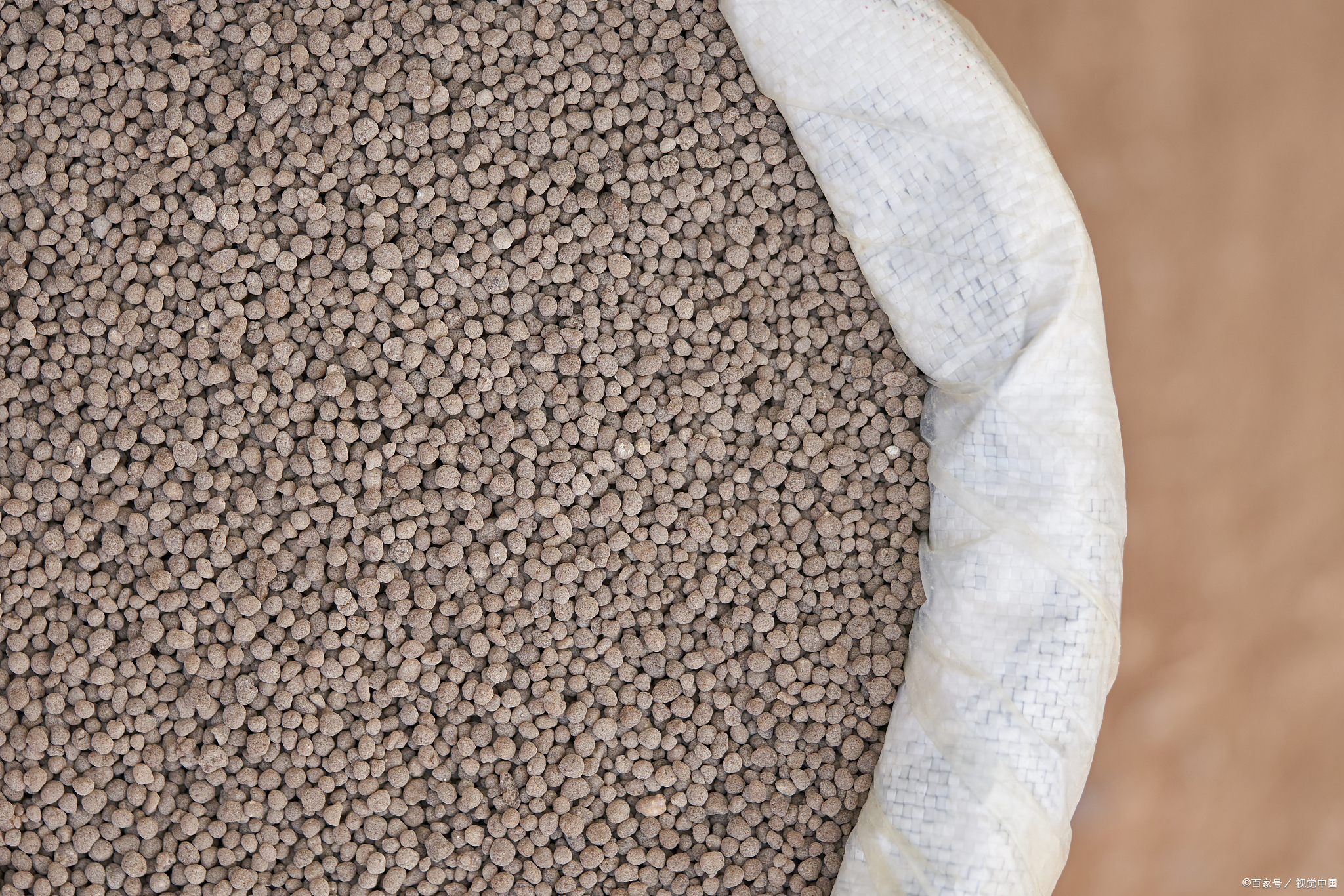 Knowledge Popularization | Understanding the Development Process of Cat litter