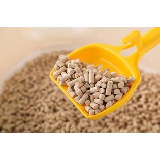 Cat litter
